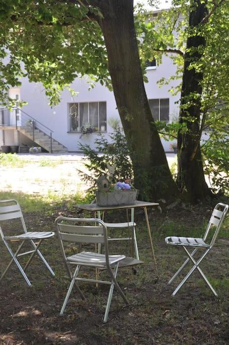 Gite St Nicolas Ancien Corps De Ferme Horticole Freyming-Merlebach Buitenkant foto